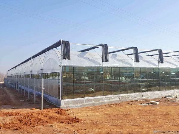 溫室大棚如何應(yīng)對寒流的入侵