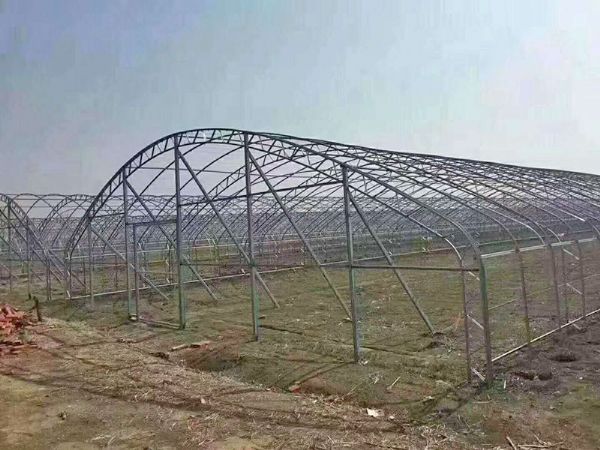 日光溫室建設(shè)應(yīng)符合設(shè)計標(biāo)準(zhǔn)？