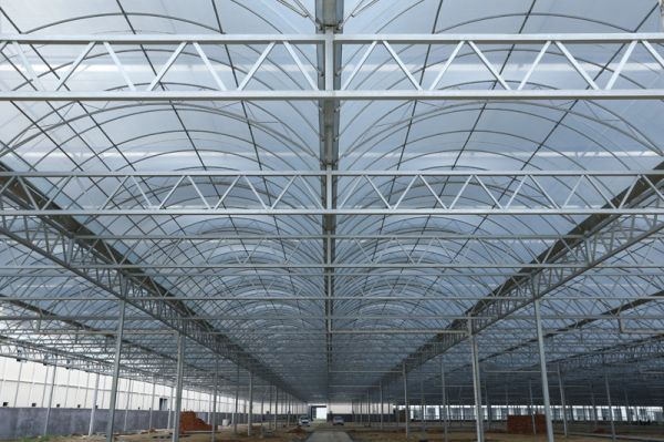 在使用連棟溫室大棚期間如何防治青苔呢？